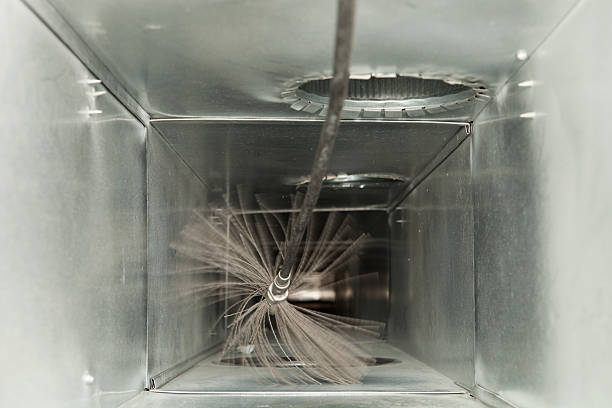 Best Professional Duct Cleaning Services  in Poplarville, MS